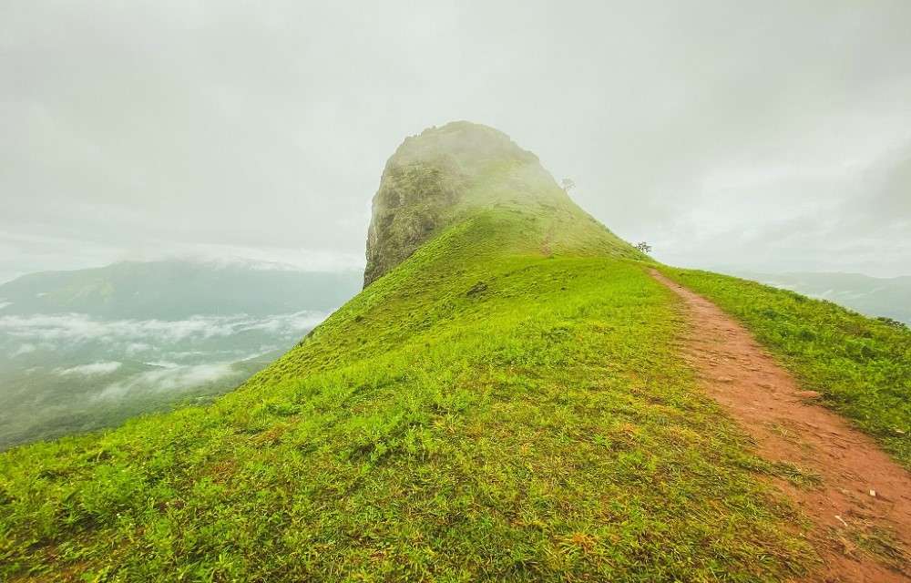 Lachhiwala Nature Park, 19.3 Km, 35 Minutes’ drive by car