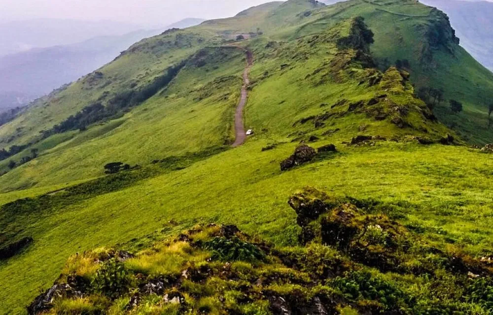 Nysiri Homestay near Bhadra Wildlife Sanctuary