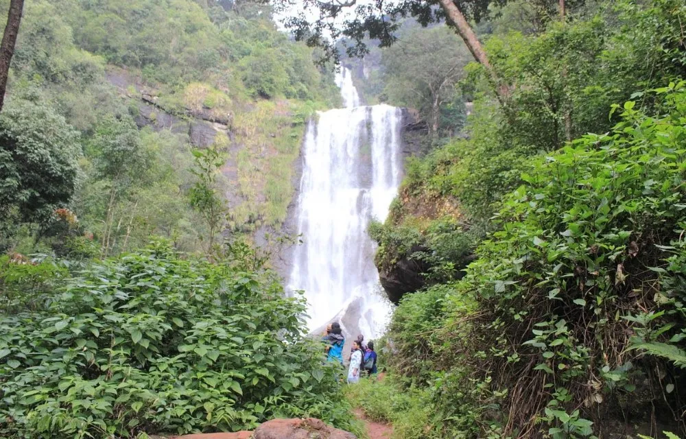 Nysiri Homestay near Hebbe Waterfalls