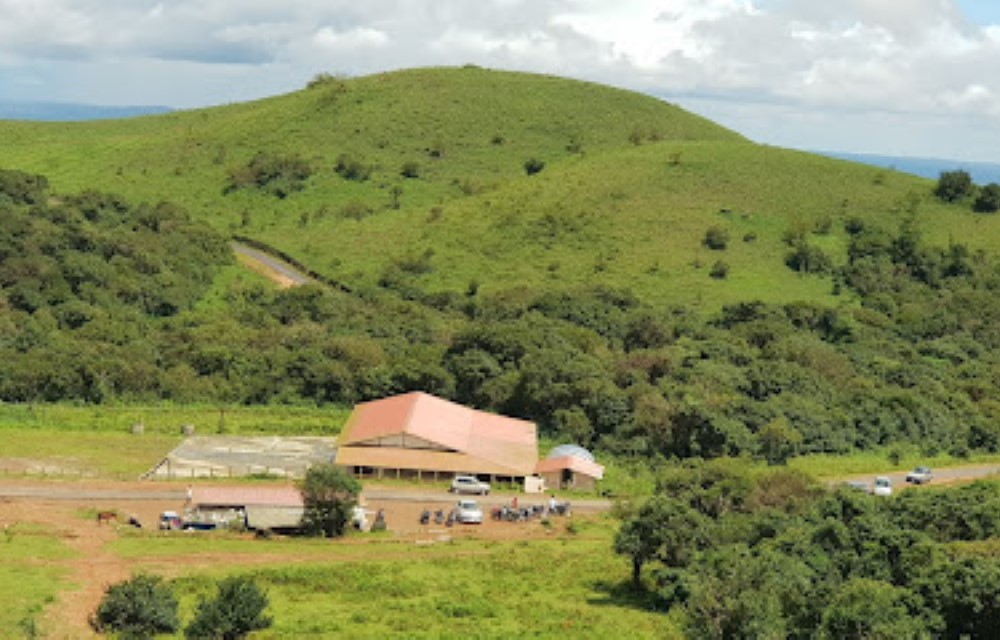 Nysiri Homestay near Devaramane